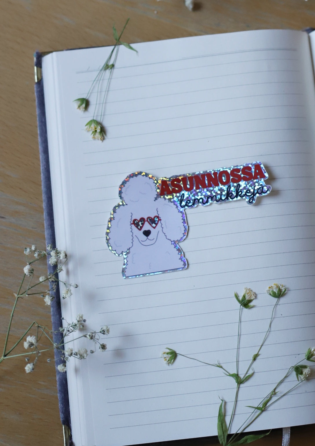 Ovitarra Asunnossa Lemmikkejä Koira