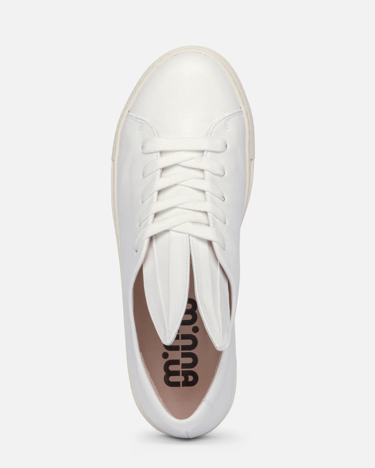 All Ears, White Leather