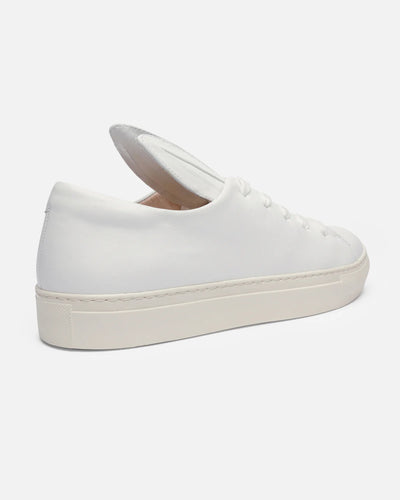 All Ears, White Leather