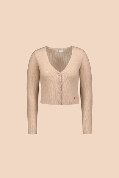 Cashmere Cardigan, Hay