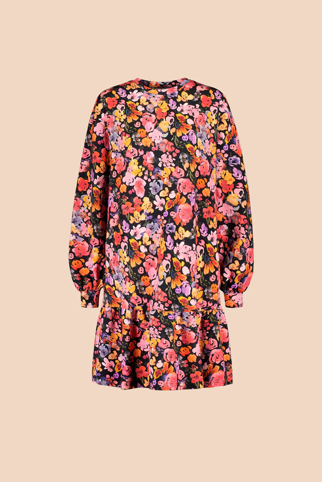 Ruffle Sweatshirt Dress, Wild Lea Mini